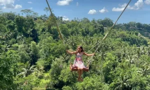 Bali Swing