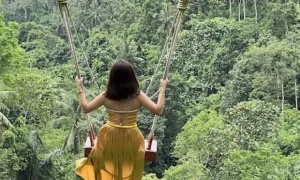 swing in ubud