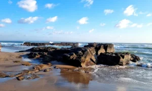 things to do in canggu
