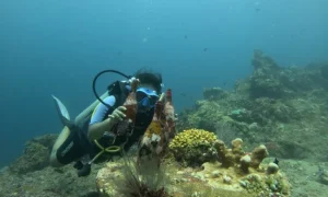 tulamben diving