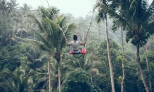 Jungle Swing Bali